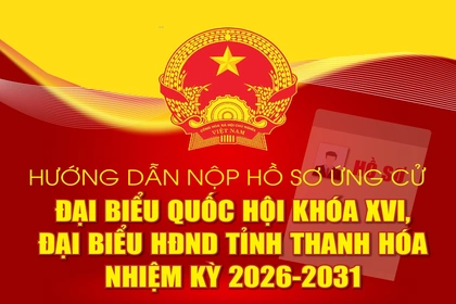[Infographics]: Hướng dẫn nộp hồ sơ ứng cử Đại biểu Quốc hội khóa XVI, đại biểu HĐND tỉnh Thanh Hóa nhiệm kỳ 2026-2031
